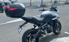 TRIUMPH TIGER SPORT 660 SNOWDONIA WHITE