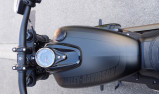 HARLEY-DAVIDSON SOFTAIL FAT BOB 1745