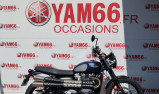 TRIUMPH STREET SCRAMBLER 900 - GOLD LINE EDITION