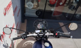 TRIUMPH STREET SCRAMBLER 900 - GOLD LINE EDITION