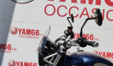 TRIUMPH STREET SCRAMBLER 900 - GOLD LINE EDITION