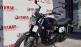 TRIUMPH STREET SCRAMBLER 900 - GOLD LINE EDITION