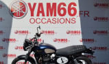 TRIUMPH STREET SCRAMBLER 900 - GOLD LINE EDITION