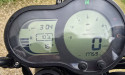 BENELLI LEONCINO 500