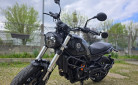 BENELLI LEONCINO 500