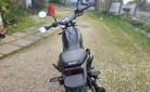 BENELLI LEONCINO 500
