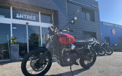 TRIUMPH SCRAMBLER 1200