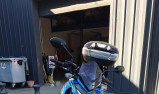 SUZUKI GSX-S 1000