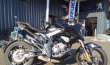 ZONTES 310 R