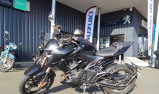 ZONTES 310 R
