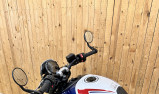 TRIUMPH TRIDENT 660 Tribute