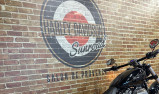HARLEY-DAVIDSON SOFTAIL BREAKOUT 1868