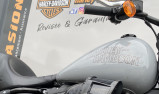 HARLEY-DAVIDSON SOFTAIL LOW RIDER 1923 S