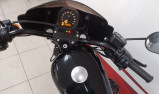HARLEY-DAVIDSON SPORTSTER 1200 IRON