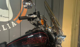 HARLEY-DAVIDSON DYNA LOW RIDER 1690