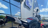YAMAHA FZ8 N 50EME ANNIVERSAIRE
