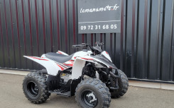 YAMAHA YFZ 50 raptor