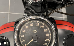 HARLEY-DAVIDSON DYNA FAT BOB 1690