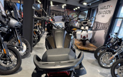 HARLEY-DAVIDSON ADVENTURE PAN AMERICA 1250