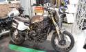BENELLI LEONCINO 800 T