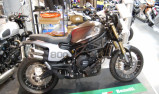 BENELLI LEONCINO 800 T