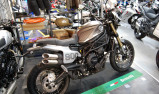 BENELLI LEONCINO 800 T