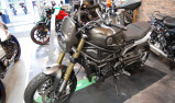BENELLI LEONCINO 800 T