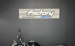 YAMAHA XJ6 A2