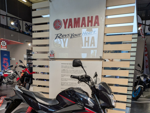 HONDA CBF 125
