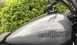 HARLEY-DAVIDSON SOFTAIL LOW RIDER 1923 ST