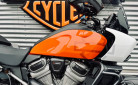 HARLEY-DAVIDSON ADVENTURE PAN AMERICA 1250 SPECIAL