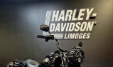 HARLEY-DAVIDSON TOURING ROAD KING 1868 SPECIAL