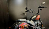 HARLEY-DAVIDSON SOFTAIL STREET BOB 1868