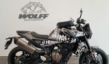 HUSQVARNA SVARTPILEN 801 2024