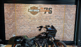 HARLEY-DAVIDSON SOFTAIL LOW RIDER 1923 ST
