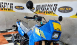 YAMAHA TDR 250 (61591)