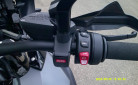 BMW R 1250 GS TRIPLE BLACK OCCASION N°19973