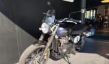 TRIUMPH STREET SCRAMBLER  900 GOLD LINE EDITION
