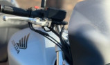 hornet 600