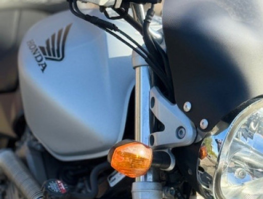 hornet 600