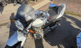 hornet 600