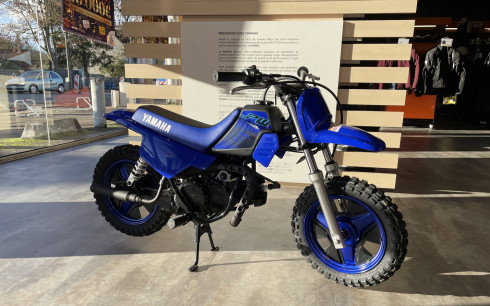 YAMAHA PW50