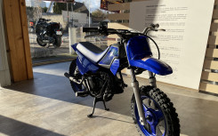 YAMAHA PW50