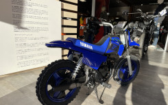 YAMAHA PW50