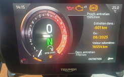 TRIUMPH TIGER 1200 RALLY PRO