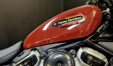 HARLEY-DAVIDSON SPORTSTER NIGHTSTER 975 SPECIAL