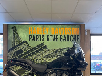 HARLEY-DAVIDSON ADVENTURE PAN AMERICA 1250 SPECIAL