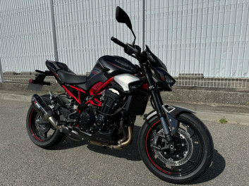 KAWASAKI Z900 PERFORMANCE A2