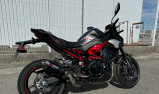 KAWASAKI Z900 performance 