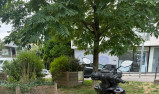 YAMAHA RayZR 125